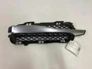 Gitter vorne unten JAGUAR XF (X250) 3.0 D 8X2315K233