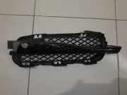 Kühlergrill unten Jaguar XF (X250)