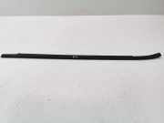 Türverkleidung links hinten Mercedes-Benz A-Klasse (W169)