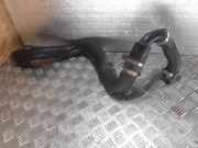 Andere Röhren RENAULT KANGOO Express (FC0/1_) 1.5 dCi (FC1E)