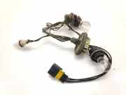 Xenon-Lampe CITROËN C6 (TD_) 2.7 HDi 9648012580