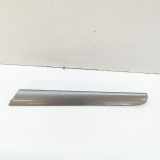 Türverkleidung vorne links VW SHARAN (7N1, 7N2) 2.0 TDI 7N0867439