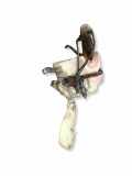 Fensterwaschtank VW PASSAT Variant B5 (3B6) 1.8 T 20V 3B7955681