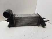 Ladeluftkühler PEUGEOT 607 (9D, 9U) 2.2 HDI 9637809480 864223EE