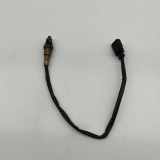 Sauerstoffsensor (Lambdasensor)