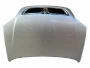 Motorhaube OPEL ZAFIRA A (F75_) 2.0 DI 16V