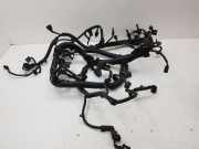 Motor Kabelbaum HONDA ACCORD VIII (CU) 2.2 i-DTEC (CU3) 1928404781 69236455