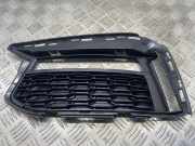 Gitter vorne unten BMW 5 (G30) 530 i 51118064963