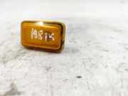 Kotflügelblinker vorne links