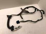 Türverkabelung hinten rechts NISSAN QASHQAI II (J11, J11_) 1.5 dCi 241264EA1B