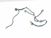 Kabelbaum CITROËN C-CROSSER (EP_) 2.2 HDi N258059