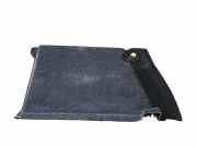 Zierleiste BMW X6 (E71, E72) 51476981037