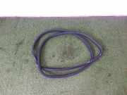 Türgummi rechts hinten Audi Q7 (4L)