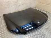 Motorhaube MERCEDES-BENZ E (W212) E 350 CDI (212.023)