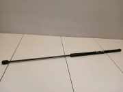 Gasfeder für Motorhaube Audi A5 (F53)