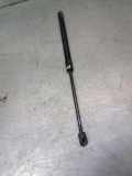 Heckklappe Gasdruckfeder links OPEL ASTRA H GTC (L08) 1.9 CDTI 244638295133