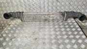 Ladeluftkühler MERCEDES-BENZ E (W210) E 220 D (210.004) A2105002000