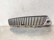 Gitter vorne unten OPEL VECTRA C 2.8 V6 Turbo 239263762