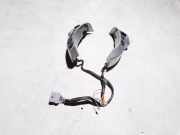 Lenkradeinstelltaste NISSAN X-TRAIL (T31) 2.0 dCi