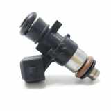 Einspritzdüse DACIA SANDERO 1.2 16V LPG 0280158046