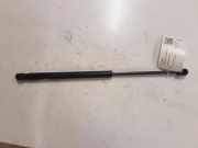 Heckklappe Gasdruckfeder links RENAULT MEGANE III Coupe (DZ0/1_) 1.5 dCi (DZ0A) 2472N0F30500N