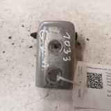 Türscharnier hinten links Peugeot 308 I ()