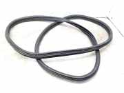 Dichtungsgummi der hinteren Tür (an der Karosserie) FIAT TIPO Hatchback (357_) 1.6 D