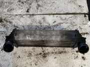 Ladeluftkühler BMW X6 (E71, E72) 1751809321