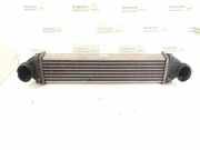 Ladeluftkühler MERCEDES-BENZ A (W169) A 180 CDI (169.007, 169.307) 1695000900 1695000000