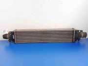 Ladeluftkühler Fiat Bravo II (198)