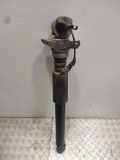 Stoßdämpfer hinten links AUDI A6 Allroad (4GH, 4GJ) 3.0 TDI quattro 462400010