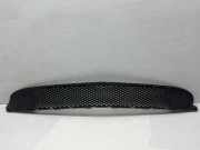 Gitter vorne unten MERCEDES-BENZ A (W177) A 220 (177.044) A1778852000