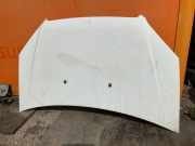 Motorhaube FIAT DOBLO Cargo (223_) 1.9 JTD Multijet