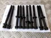 Motorschrauben KIA SORENTO II (XM) 2.2 CRDi 4WD