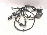 Kabel der vorderen linken Tür CITROËN C5 III (RD_) 2.0 HDi 9662313380