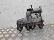 Ansaugbrücke VW GOLF IV (1J1) 1.9 TDI 038129713J