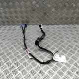 Kabel Tür Tesla Model X (5YJX) 106340500F