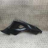 Türpolster hinten rechts PORSCHE 911 (997) 3.6 Carrera 4 99755547600