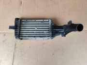 Ladeluftkühler OPEL ZAFIRA A (F75_) 2.0 DTI 16V 24436438