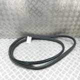 Türdichtung vorne rechts MERCEDES-BENZ GLS (X166) 550 4-matic (166.873) A1666970051