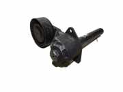 Riemenspanner BMW X6 (E71, E72) xDrive 35 d