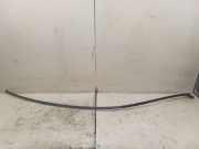 Dachleiste links MERCEDES-BENZ S (W221) S 350 BlueTec (221.026, 221.126)