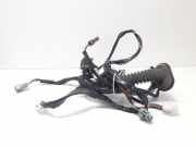 Kabel Tür Nissan Almera II Hatchback (N16) 24125BM706