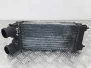 Ladeluftkühler CITROËN C4 Picasso I (UD_) 1.6 HDi 13128926
