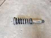 Stoßdämpfer hinten rechts JAGUAR S-TYPE (X200) 2.7 D 158KAS603 KAS603