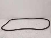 Türgummi rechts vorne VW Tiguan I (5N) 5NA867912B