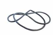 Türgummi links hinten Lexus RX 4 (L2)