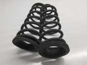 Feder links hinten Ford Tourneo Connect / Grand Tourneo Connect V408 Großraumlimousine () 1949814