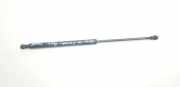 Gasfeder für Motorhaube VW Sharan (7M) 7M3823359A