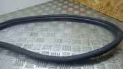 Türdichtung Jeep Grand Cherokee IV (WK, WK2) 55399173